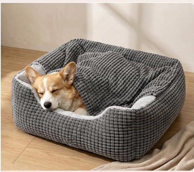 A Corgi asleep inside the bed with the hood zipped up, on an oak floor in soft daylight