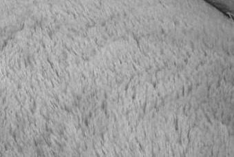 Close-up of the soft plush inner lining
